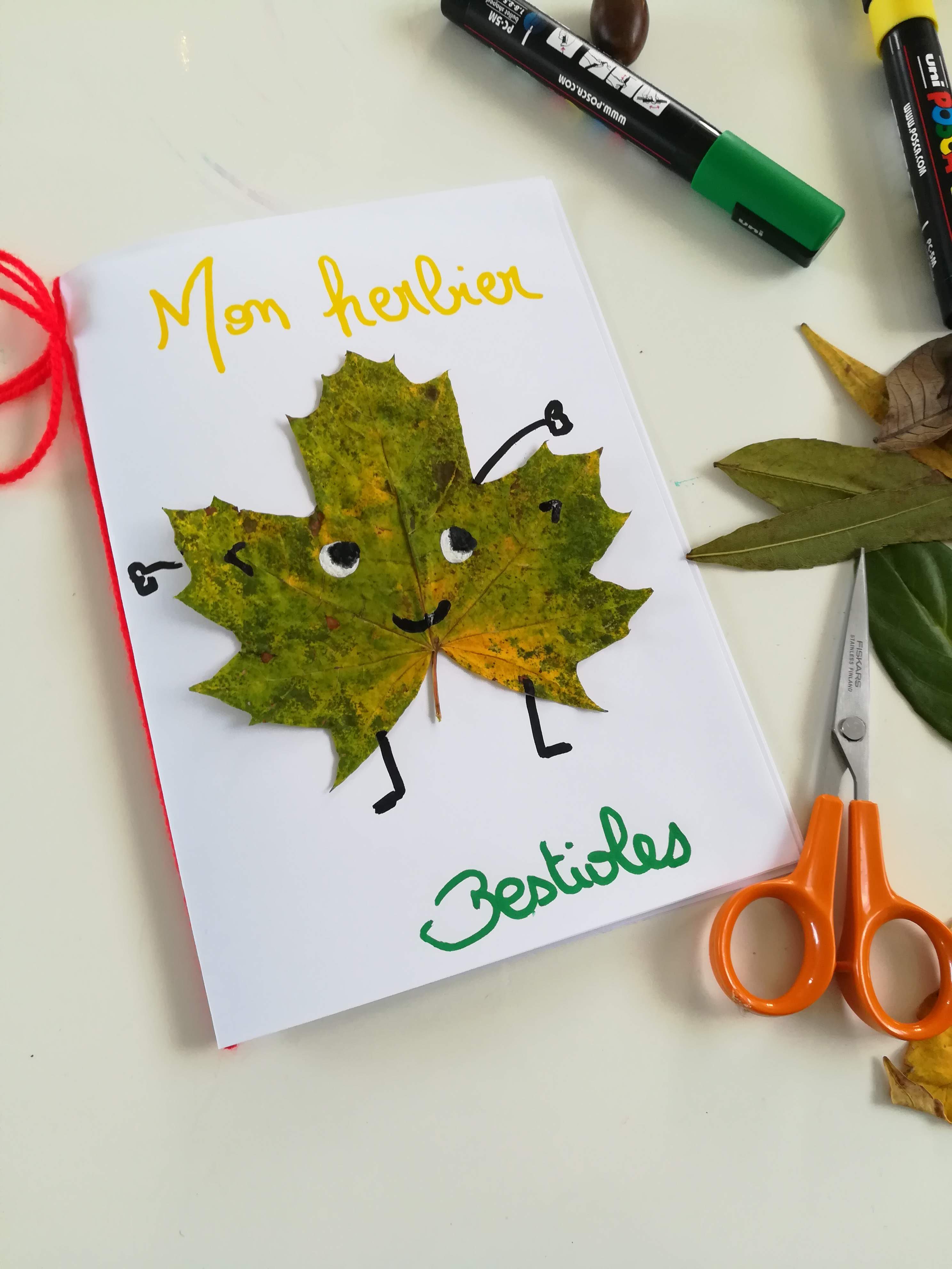 Herbier pour enfant : découvrez notre herbier de l'automne - Balades en  famille