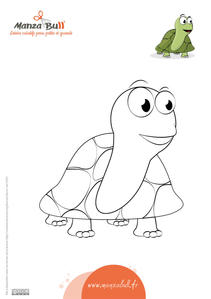 coloriage tortue à imprimer