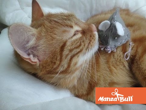 Manzabull_tuto souris en feutrine