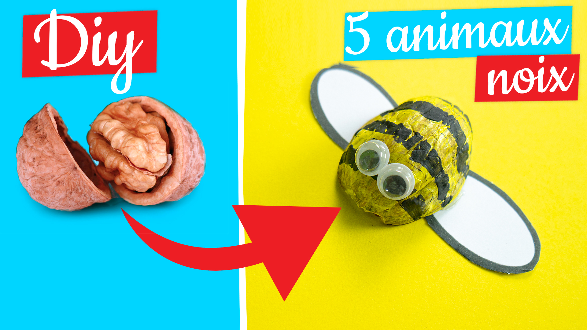 diy animaux coquille de noix