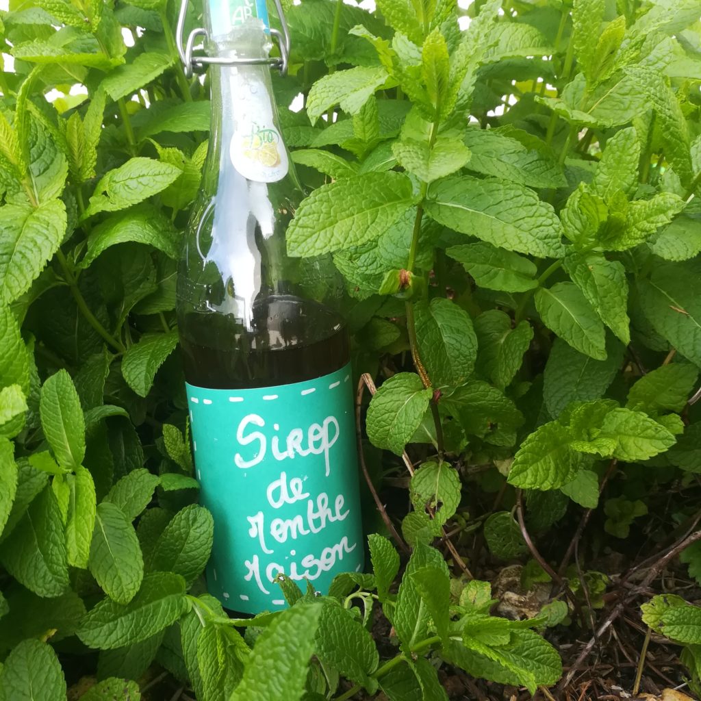 recette sirop de menthe maison 