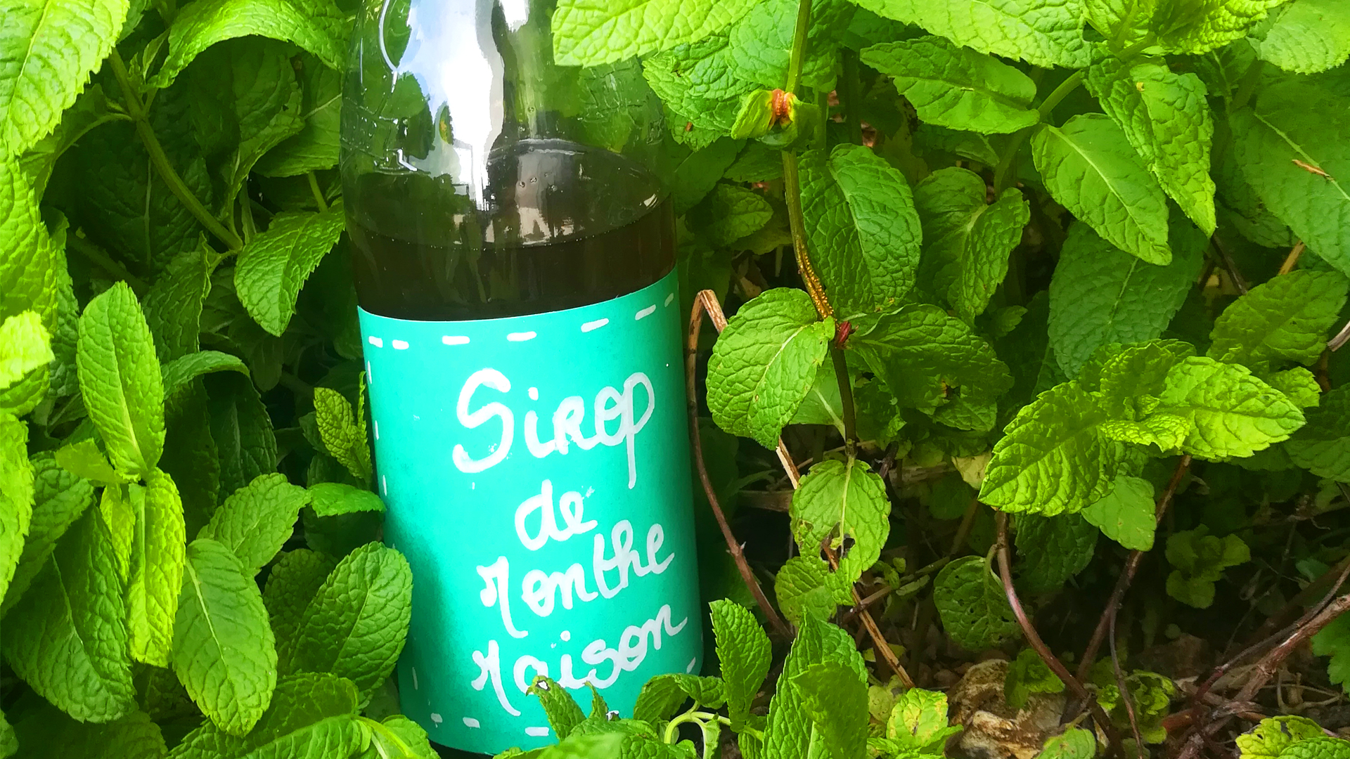 recette sirop de menthe