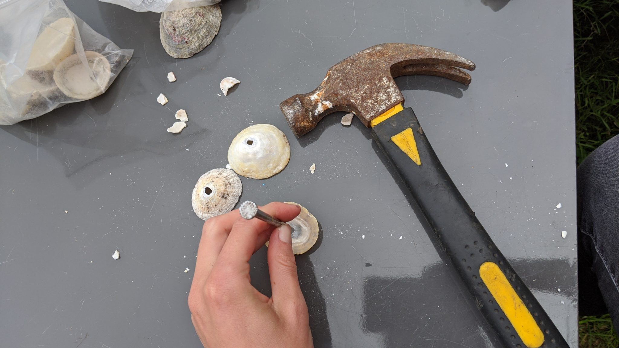 Fête de la musique : mobile coquillage - ManzaBull'