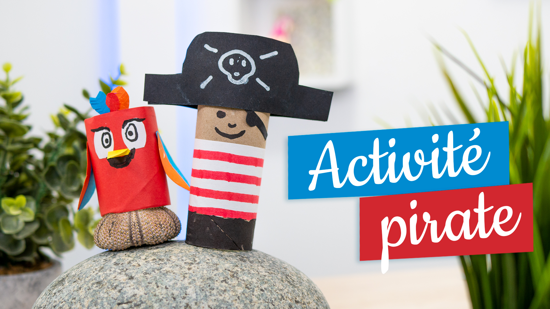 bricolage pirate