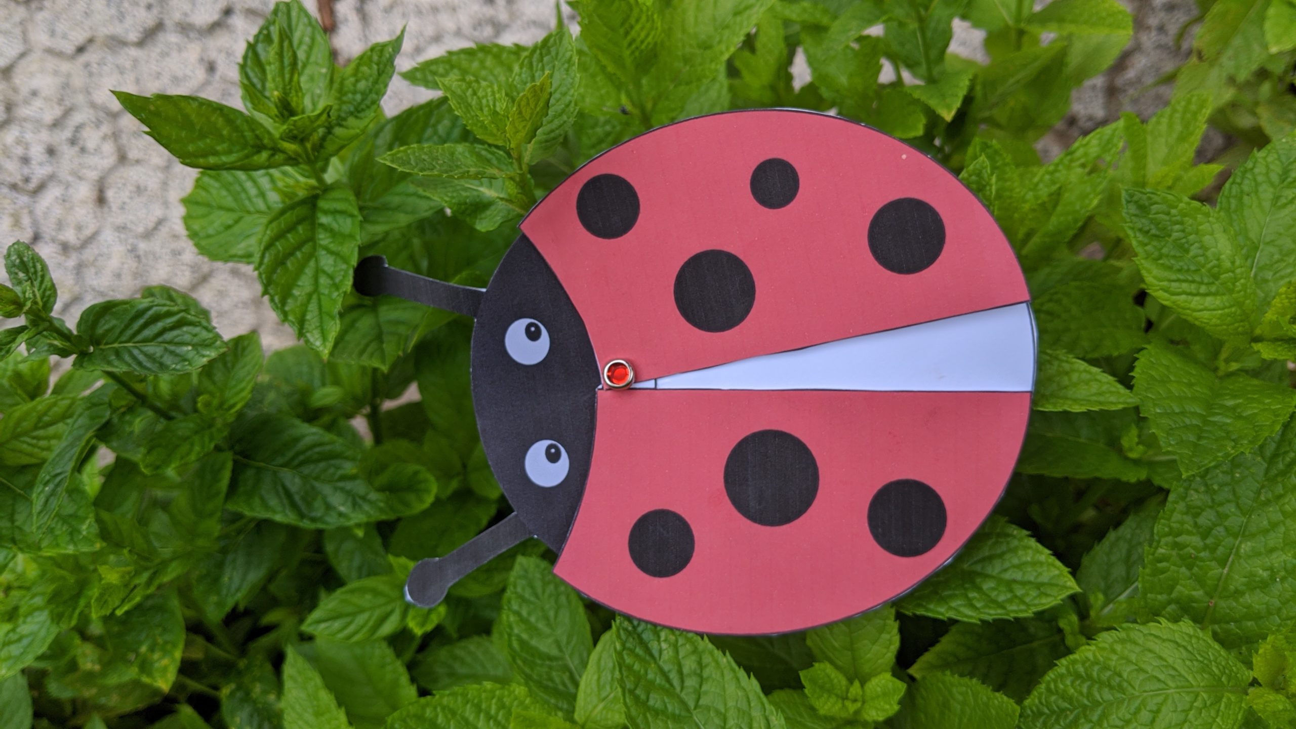Activité Manuelle Autour De Champignon Activités manuelles sur les coccinelles - ManzaBull'