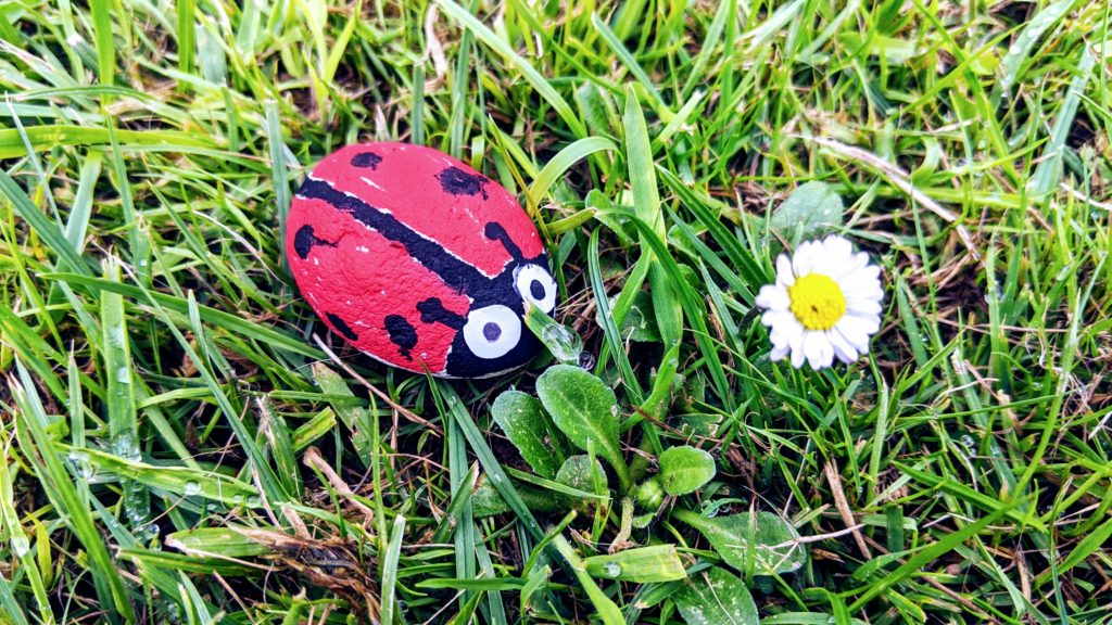 bricolage coccinelle