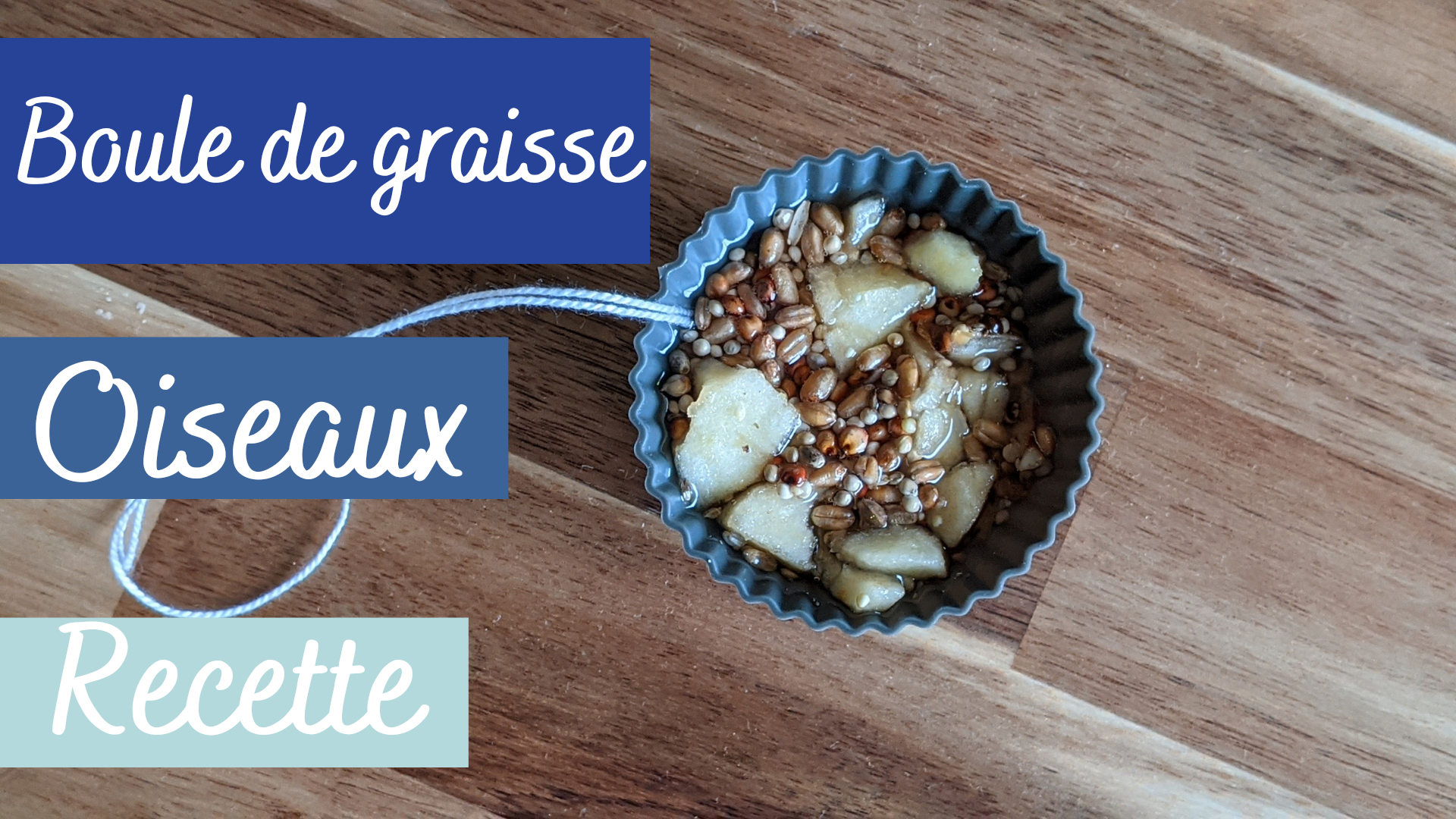 Comment Faire Des Boules De Graisse Pour Oiseaux Paperblog - Boule De  Graisse Sur La Main - Aps…