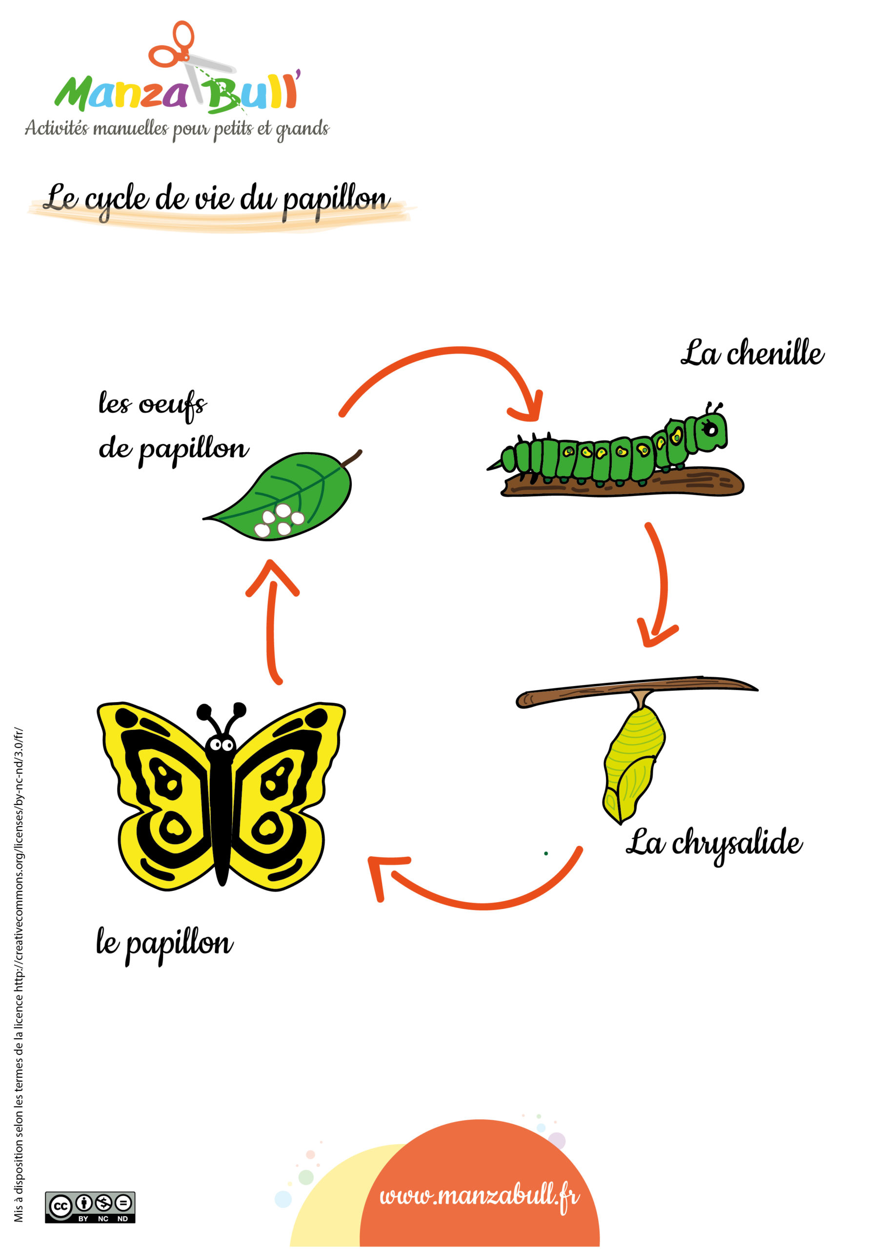 Cycle De Vie Du Papillon Maternelle Le papillon : activités manuelles et fiches - ManzaBull'
