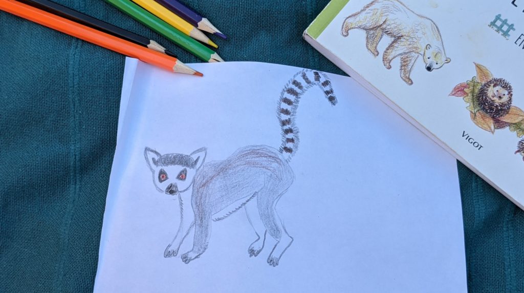 livre dessiner des animaux supermignons - test