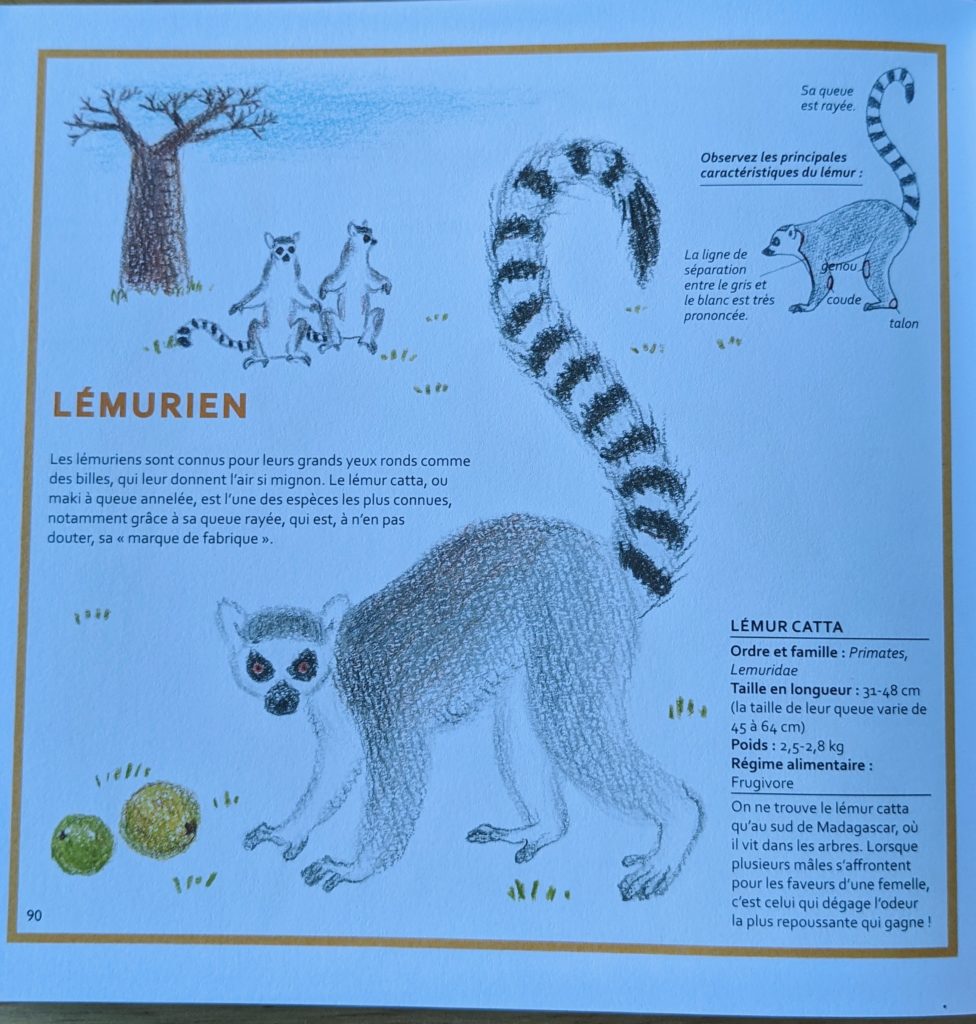 livre dessiner des animaux supermignons - lemurien