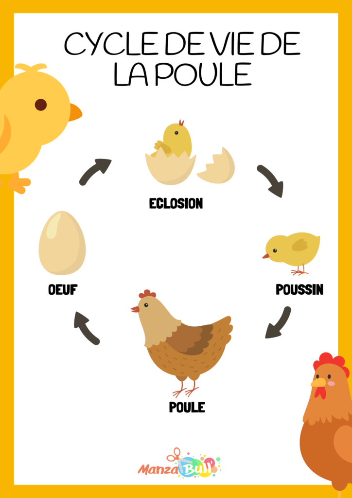 Activité poule de Pâques et empreinte de main - ManzaBull