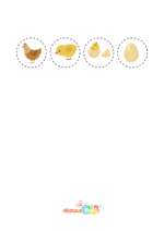 Le cycle de vie de la poule - ManzaBull'
