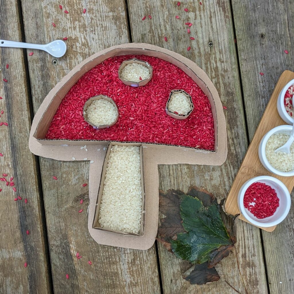 activité manuelle transvasement champignon avec du riz coloré - maternelle